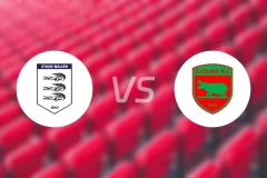 马里体育vs佐里巴比分预测【2025/12/15】