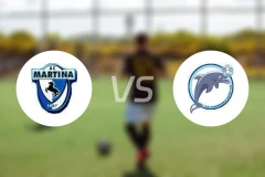 马蒂纳vs曼弗雷多尼亚比分预测【2026/02/15】