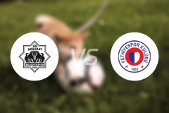 阿卡沙雷士邦vs费迪耶斯堡比分预测【2026/03/24】