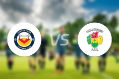 纽波特城vs阿曼福德比分预测【2025/11/01】