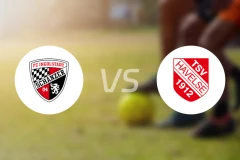 因戈尔施塔特vs哈韦尔斯比分预测【2026/02/21】