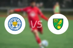 莱斯特城vs诺维奇比分预测【2026/02/28】