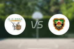 巴雷鲁女篮vs科英布罗斯女篮比分预测【2025/11/02】