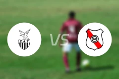 菲尼斯皮拉尔vs鲁祖尼比分预测【2026/03/01】