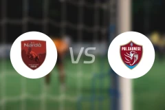 纳尔多vs萨尼斯比分预测【2025/11/30】