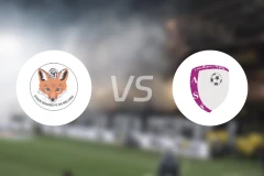 施塔德勒纳尔vs福尔图那比分预测【2026/04/05】