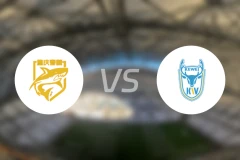 重庆春蕾vs大连可为录像回放【2025/11/08】