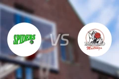 霍恩斯比蜘蛛女篮vs梅特兰野马女篮比分预测【2026/04/25】