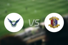 鸟取飞翔vs奈良俱乐部比分预测【2025/11/29】