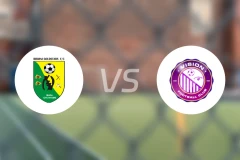 比比亚尼金星vs视觉FC比分预测【2026/03/22】