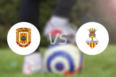 波特曼利vs菲拉尼特斯比分预测【2026/02/01】