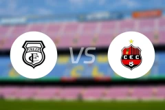 特利兹vs康菲安卡PB比分预测【2026/02/02】