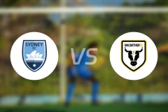 悉尼FCvs麦克阿瑟FC比分结果战报【2025/11/09】