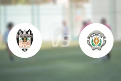 乌德卡斯特罗尼vs索内哈比分预测【2026/03/22】