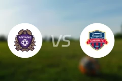 安养FCvs水原FC比分预测【2025/11/22】
