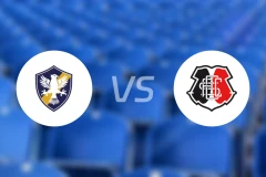 巴西复古vs圣塔科鲁兹比分预测【2026/01/22】