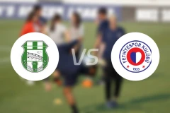 库科切梅切vs费迪耶比分预测【2025/11/02】