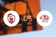 米斯特巴赫野马vs雄狮比分预测【2025/11/23】