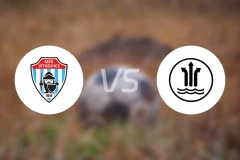 维特科维斯vs赫拉尼斯比分预测【2026/03/28】