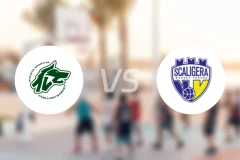 阿维利诺vs维罗纳比分预测【2026/02/02】