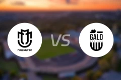 马林加vs加洛马林加比分预测【2026/02/08】