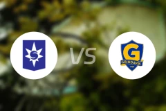 斯塔尔南vs格林达维克比分预测【2025/12/08】