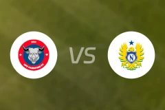 帕林廷斯vs国民AM比分预测【2026/01/29】