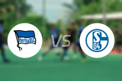 柏林赫塔vs沙尔克04比分预测【2026/01/18】