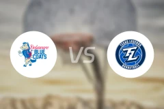 特拉华蓝衫vs德克萨斯传奇比分预测【2025/12/22】