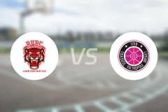 罗切文德女篮vs图卢兹女篮比分预测【2026/01/08】