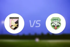 帕勒莫青年队vs摩诺波利U19比分预测【2025/11/22】