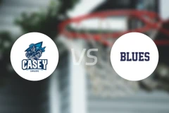 凯西骑士女篮vs法兰克斯顿蓝调女篮比分预测【2026/04/11】