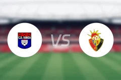 苏比扎vs维格瓦尔特比分预测【2026/01/25】