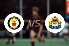 阿鲁卡斯vs拉斯帕尔马斯C队比分预测【2026/01/31】