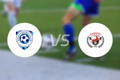 巴拉乌vs埃努古流浪者比分预测【2025/11/16】