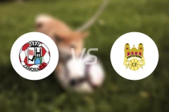 萨莫拉vs庞特贝德拉比分预测【2026/03/28】