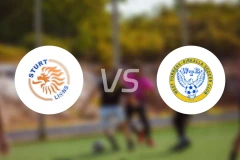 斯特尔特狮队vs托列斯比卡拉比分预测【2026/03/28】