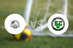 维耶托伊斯vs甘索任比分预测【2026/03/08】