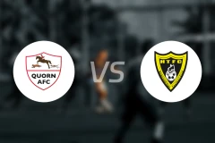 夸恩vs哈伯勒镇比分预测【2025/11/19】