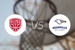 沙龙维尔帕斯vs赫尔辛基海鸥比分预测【2026/03/19】