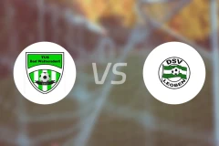 瓦尔特斯多夫vsDSV莱奥本比分预测【2025/11/01】