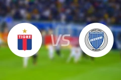 堤格雷vs戈多伊克鲁斯比分预测【2024/08/13】