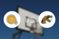 奥尔巴尼州立大学vs佛罗里达农工大学比分预测【2025/12/16】