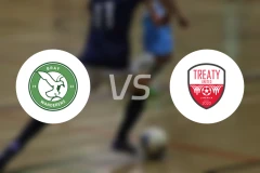 布雷流浪者vs条约联比分预测【2025/11/02】