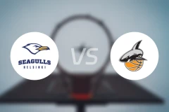 赫尔辛基海鸥vsUU科里海特比分预测【2026/02/05】