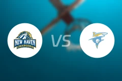 纽黑文大学vs长岛大学比分预测【2026/02/06】