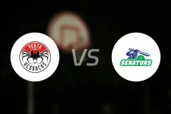 珀斯红背蜘蛛vs斯特林参议员比分预测【2026/04/17】