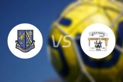 阿尔马城vs韦德斯比分预测【2025/11/29】