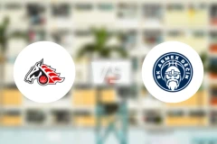 帕尔杜比采vsBK迪辛比分预测【2024/10/26】