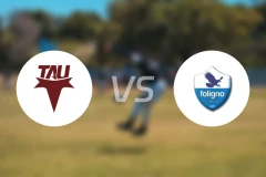 阿尔托帕西奥vs佛利奴比分预测【2026/02/01】